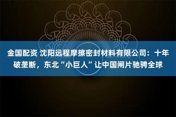 金国配资 沈阳远程摩擦密封材料有限公司:十年破垄断,东北“小巨人”让中国闸片驰骋全球