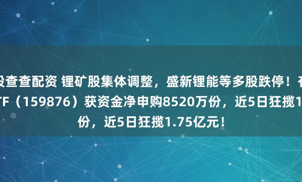 股查查配资 锂矿股集体调整，盛新锂能等多股跌停！有色龙头ETF（159876）获资金净申购8520万份，近5日狂揽1.75亿元！